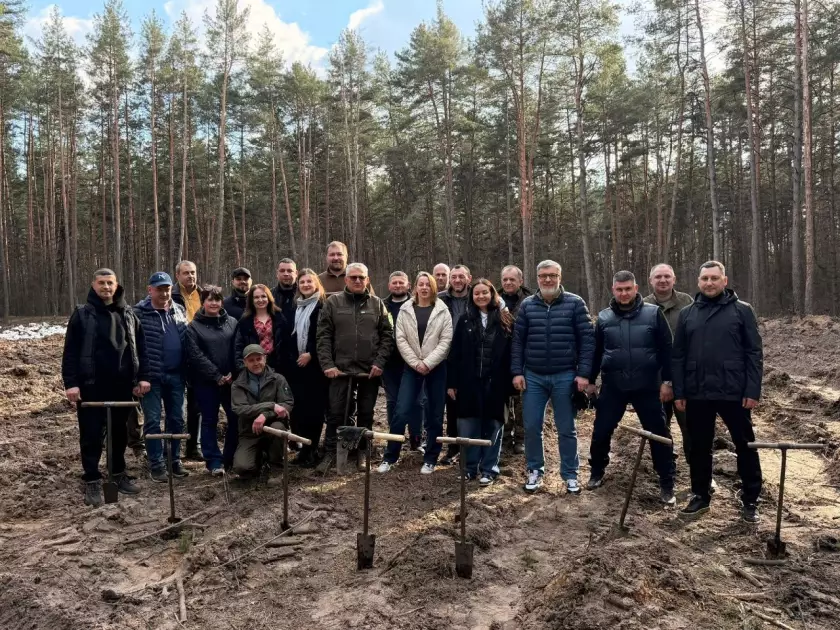 На місці руйнувань — новий ліс: що відбулося у Дарницькому лісництві - 1
