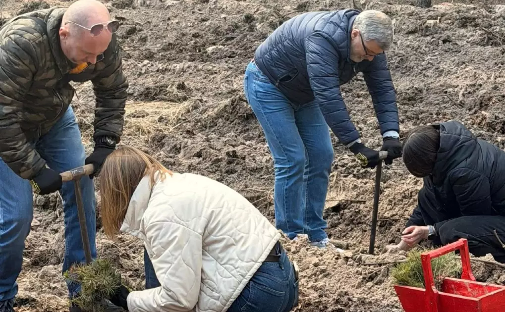На місці руйнувань — новий ліс: що відбулося у Дарницькому лісництві - 2