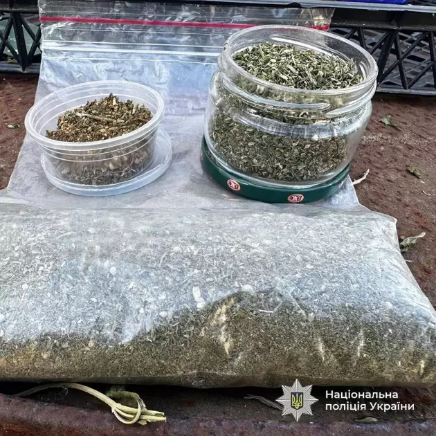 У Києві судитимуть наркоугруповання з мільйонними прибутками від кокаїну - 6