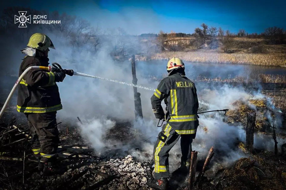 43 пожежі за добу на Київщині та 1 загиблий: понад 10 га землі знищено вогнем - 5