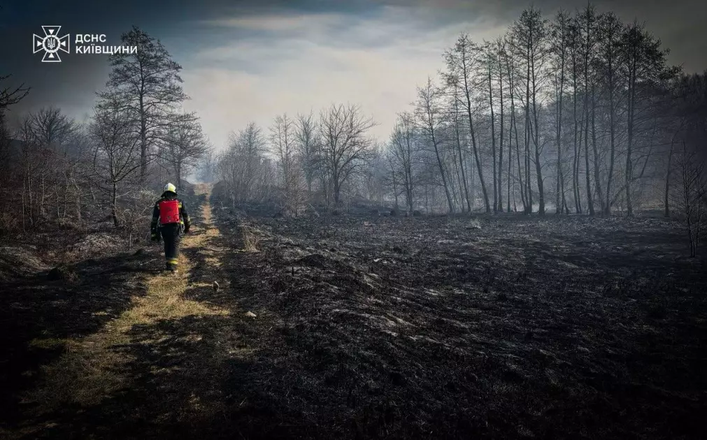 43 пожежі за добу на Київщині та 1 загиблий: понад 10 га землі знищено вогнем - 3