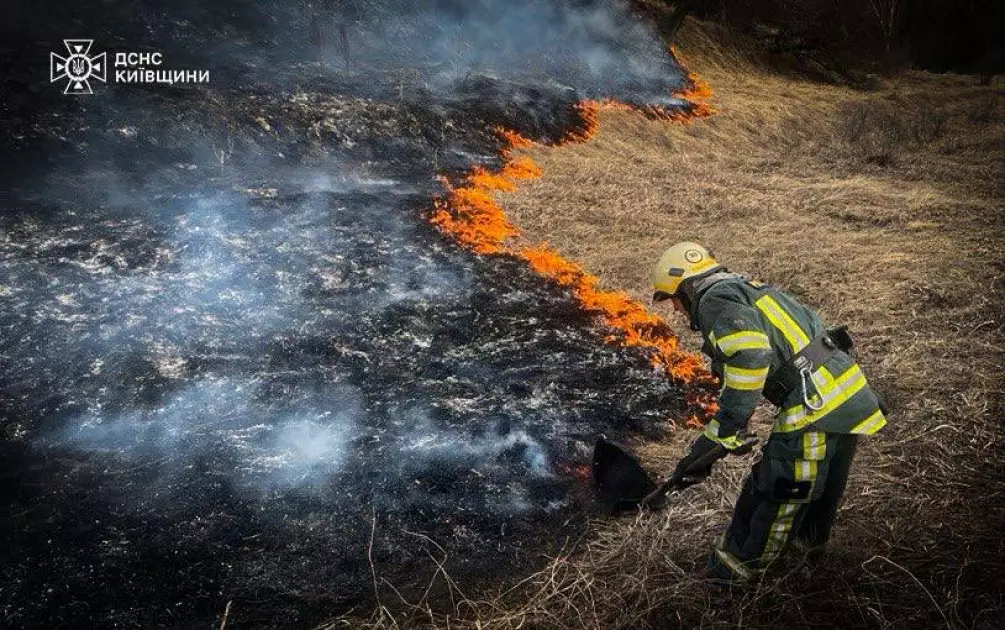 43 пожежі за добу на Київщині та 1 загиблий: понад 10 га землі знищено вогнем - 2