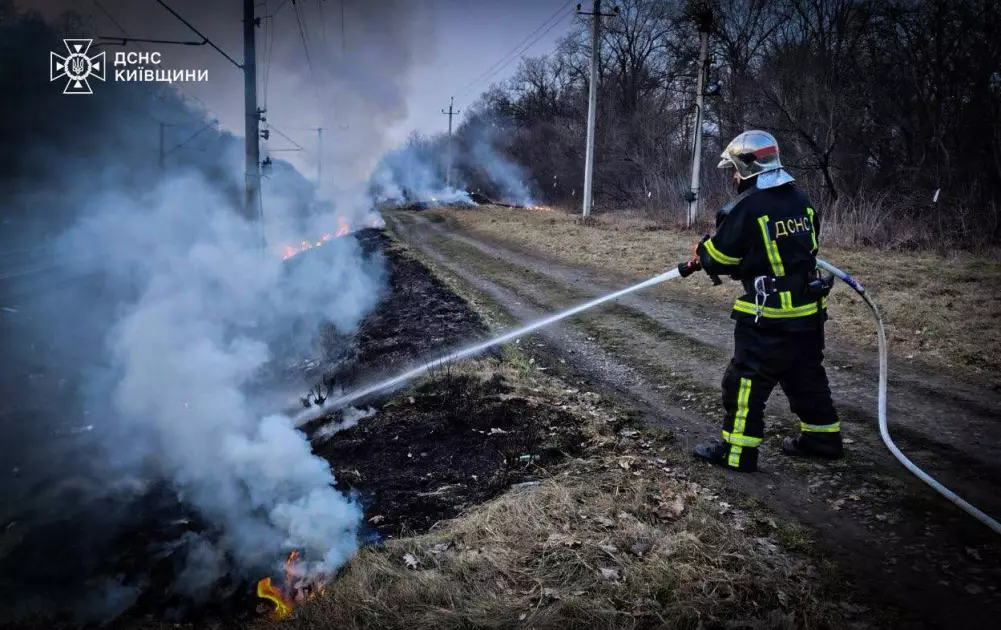 43 пожежі за добу на Київщині та 1 загиблий: понад 10 га землі знищено вогнем - 1