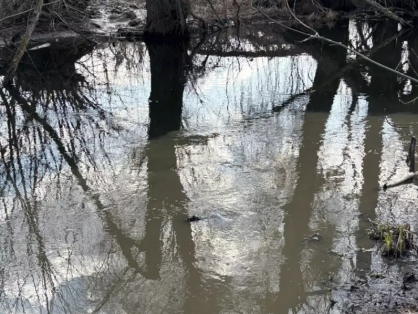 На Київщині стічні води потрапляють у річку Буча: екологи взялися за перевірку - 3