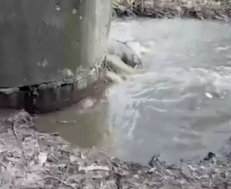 На Київщині стічні води потрапляють у річку Буча: екологи взялися за перевірку - 1