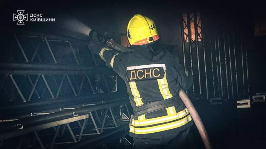 Масштабна пожежа на СТО в Боярці: загоряння трави стало причиною - 6