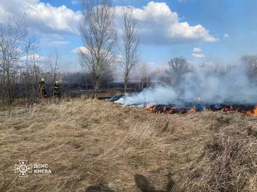 За день у Києві горіло майже 15 тис. кв. м екосистем: рятувальники попереджають про небезпеку - 6