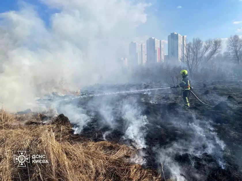 За день у Києві горіло майже 15 тис. кв. м екосистем: рятувальники попереджають про небезпеку - 5