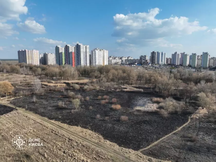 За день у Києві горіло майже 15 тис. кв. м екосистем: рятувальники попереджають про небезпеку - 4