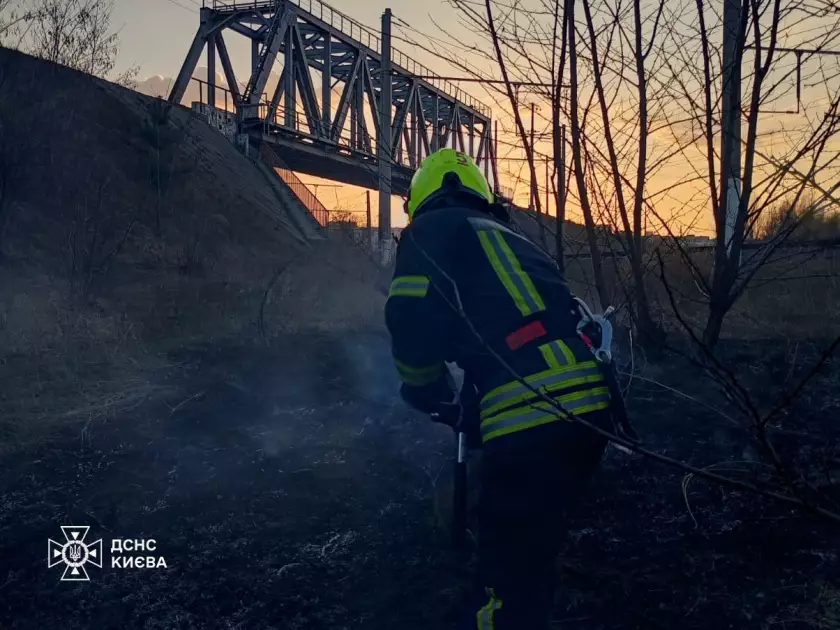 За день у Києві горіло майже 15 тис. кв. м екосистем: рятувальники попереджають про небезпеку - 3