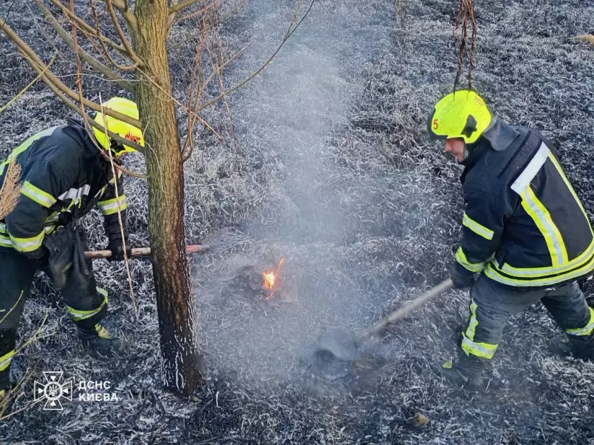 За день у Києві горіло майже 15 тис. кв. м екосистем: рятувальники попереджають про небезпеку - 2