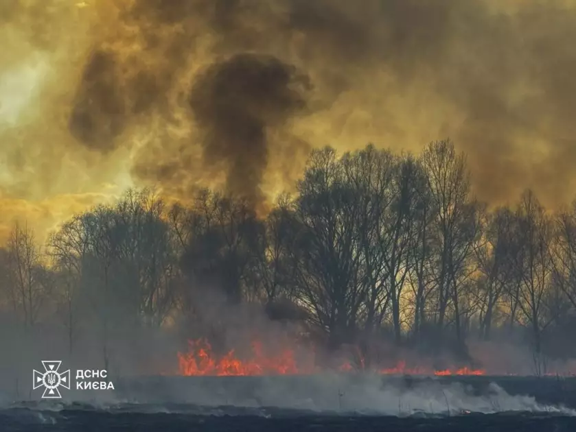 За день у Києві горіло майже 15 тис. кв. м екосистем: рятувальники попереджають про небезпеку - 1