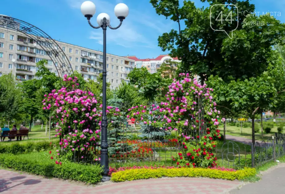 Київ у квітах: місця, де весна відчувається найбільше - 1