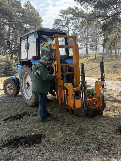 У столиці висадили сотні дерев: Дніпровський та Деснянський райони оновлюють зелені зони - 3