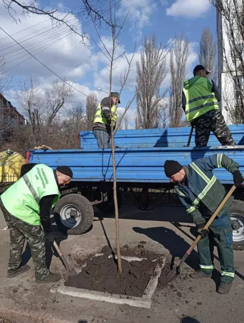 У столиці висадили сотні дерев: Дніпровський та Деснянський райони оновлюють зелені зони - 1