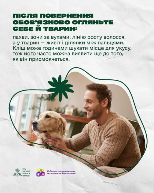Укус кліща: чого не можна робити і як діяти безпечно — поради київських фахівців - 8