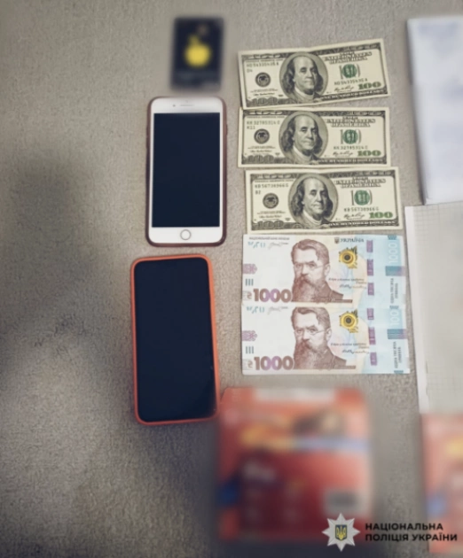 У Києві викрили жінку, яка організовувала фіктивні шлюби для іноземців - 2