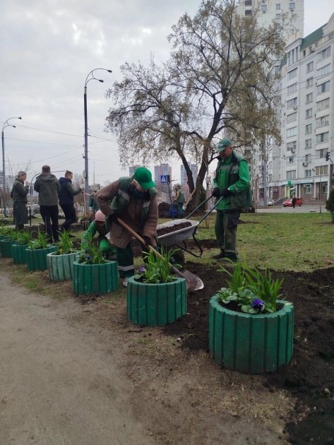 Оболонь стає зеленішою: на районі висадили десятки дерев і понад 100 кущів - 1
