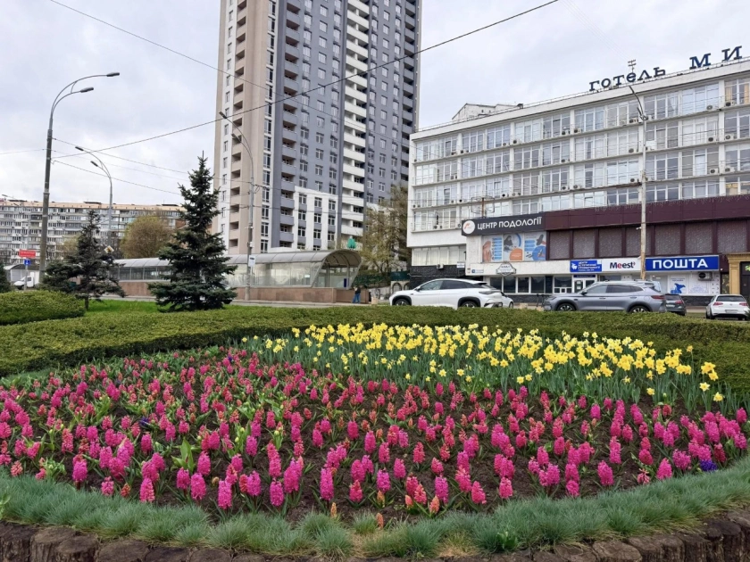 У Голосіївському районі розквітли гіацинти та нарциси: де шукати весняні локації - 1