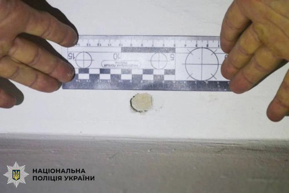 У Києві засудили чоловіка за стрілянину та погрози поліцейським - 1