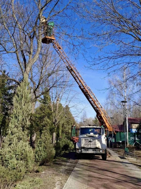 У парках Києва встановили майже 60 шпаківень: як це вплине на екологію міста - 1