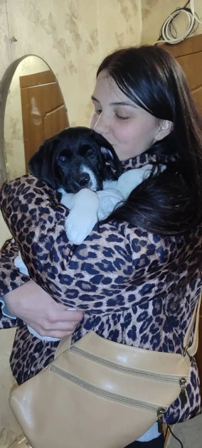 У Славутичі шукають родини для цуценят, яких новонародженими викинули на мороз - 1