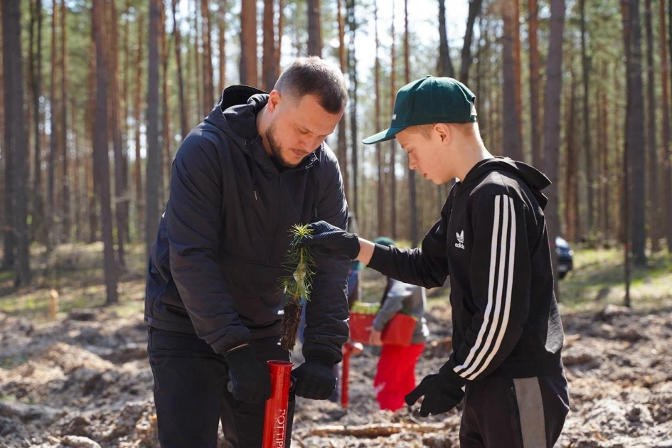 Після розмінування — новий ліс: на Київщині висадили дерева у Бородянській громаді - 2