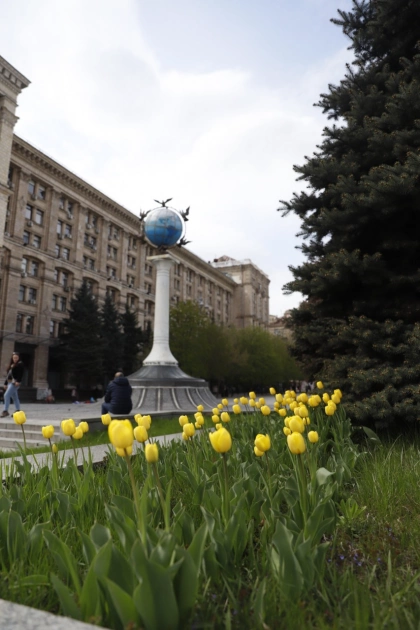 У Києві розквітли тюльпани - де шукати найкрасивіші локації - 1