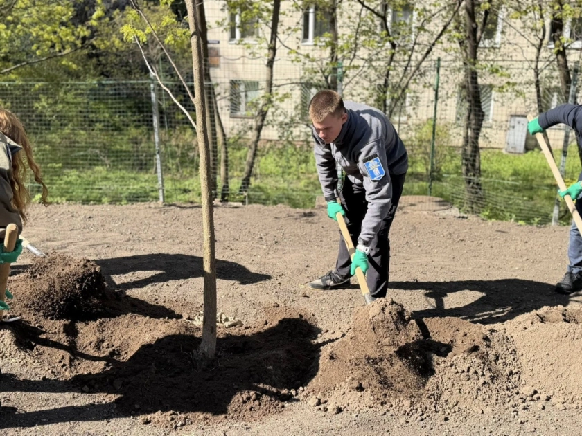 У Печерському районі Києва замість МАФів облаштували зелену зону - 1