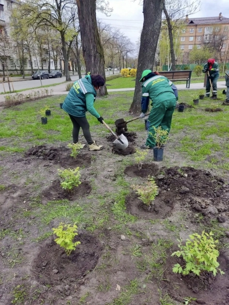 У Києві висадили сотні дерев і тисячі квітів: де з’явилися нові зелені насадження - 1