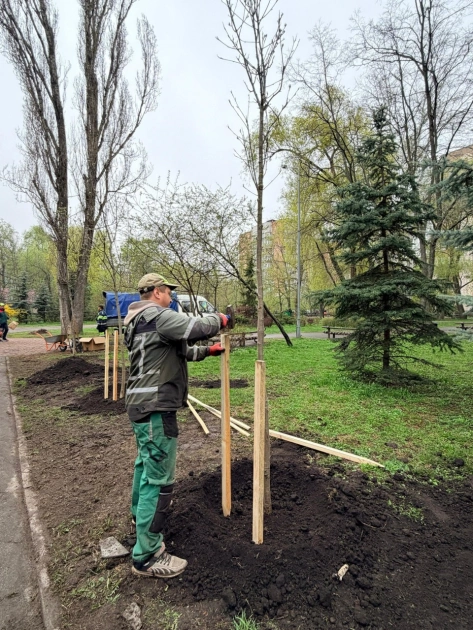 У Києві висадили сотні дерев і тисячі квітів: де з’явилися нові зелені насадження - 2