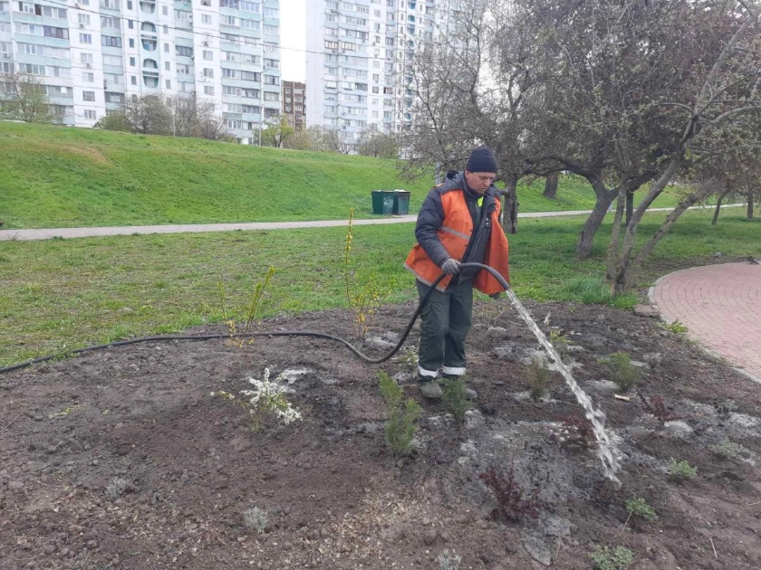 Парк на Райдужному масиві в Києві прикрасили лавандою та барбарисом — що змінилося - 1