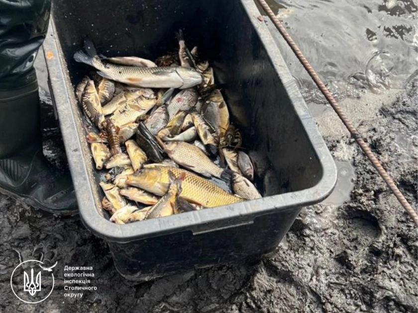 На Білоцерківщині виявили масштабне браконьєрство: збитки перевищили 6 млн грн - 2