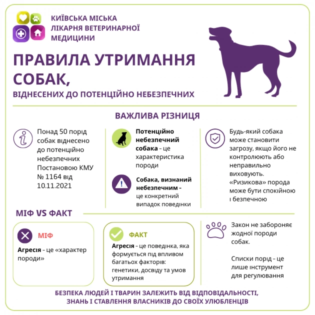 Столичним власникам собак нагадали про обов’язкові правила вигулу та реєстрації - 1