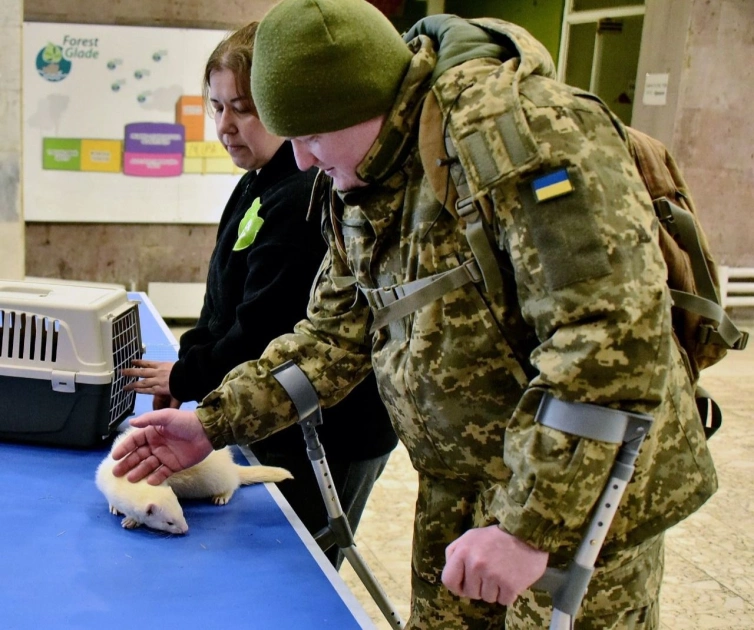 Київський зоопарк провів зоотерапію для понад 80 тисяч людей у 2025 році - 1