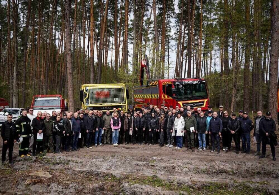 На Київщині висадили 6000 дерев на розмінованій території: як відновлюють ліси після війни - 1