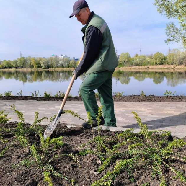 У Києві висадили понад 600 дерев у межах акції «1 мільйон дерев життя» - 4