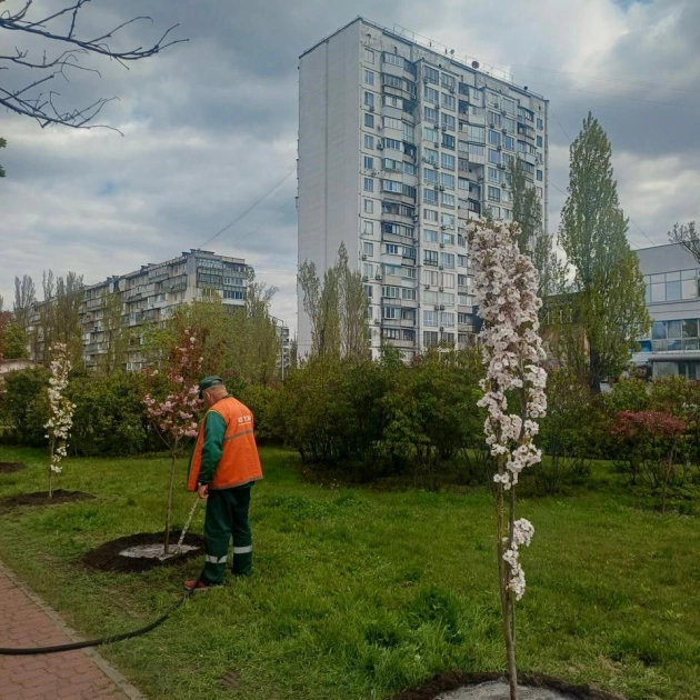 У Києві висадили понад 600 дерев у межах акції «1 мільйон дерев життя» - 2