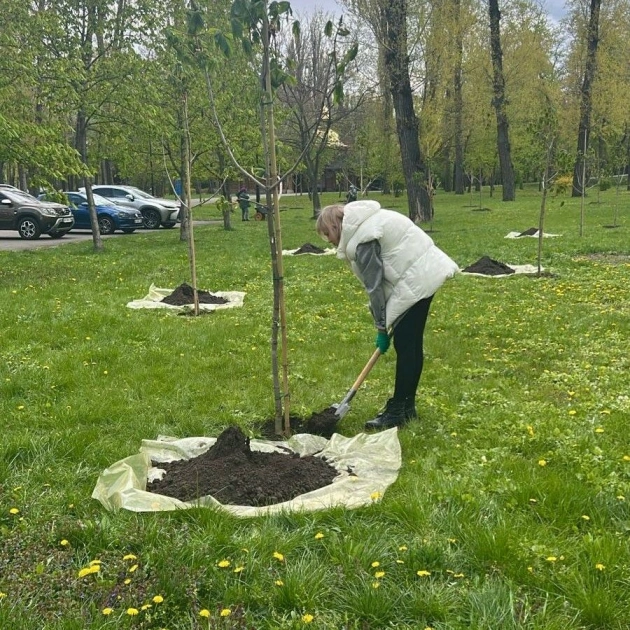 У Києві висадили понад 600 дерев у межах акції «1 мільйон дерев життя» - 1