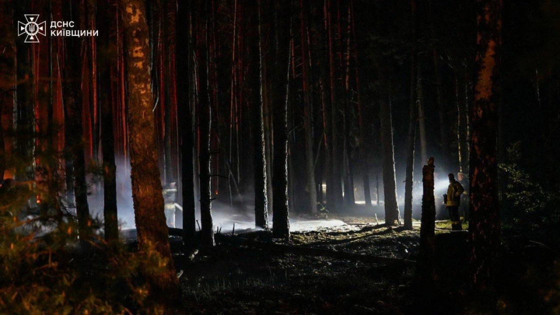 У Зоні відчуження ліквідовують масштабну лісову пожежу: вогонь охопив 1200 гектарів - 5