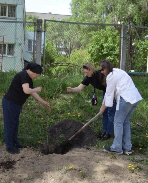 У Голосіївському районі Києва висадили сакури в пам’ять про загиблих під час теракту 18 квітня - 1