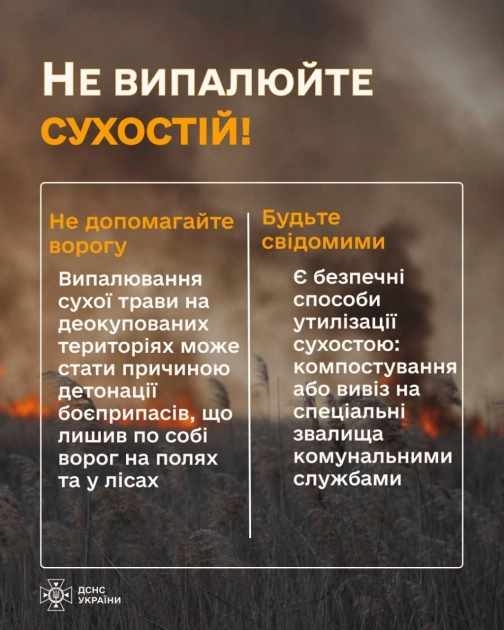 Понад 200 гектарів вигоріло на Київщині: ДСНС попереджає про масштабні пожежі в екосистемах - 4