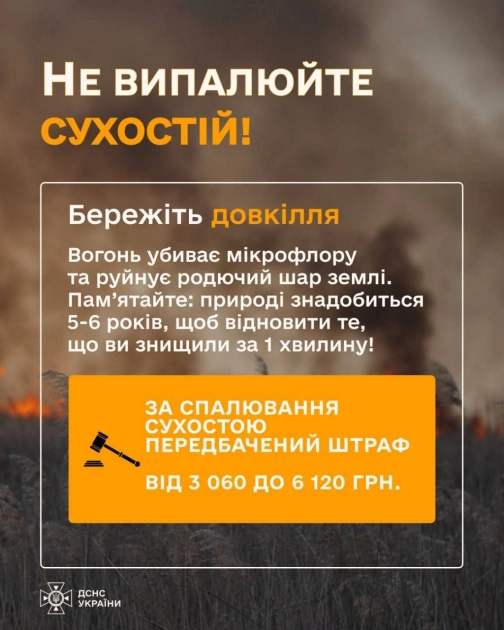 Понад 200 гектарів вигоріло на Київщині: ДСНС попереджає про масштабні пожежі в екосистемах - 3