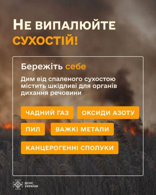 Понад 200 гектарів вигоріло на Київщині: ДСНС попереджає про масштабні пожежі в екосистемах - 1