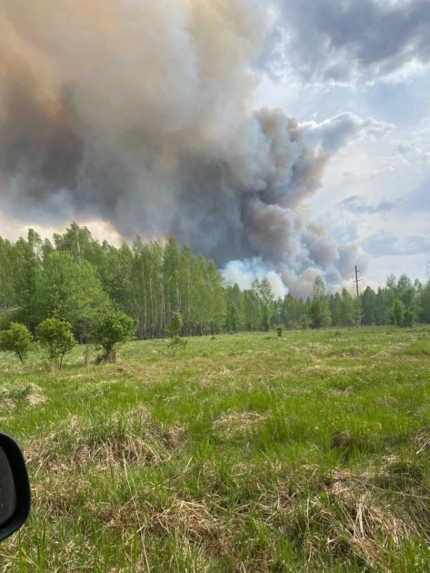Пожежу в Чорнобильському заповіднику локалізували: що з радіаційним фоном - 1