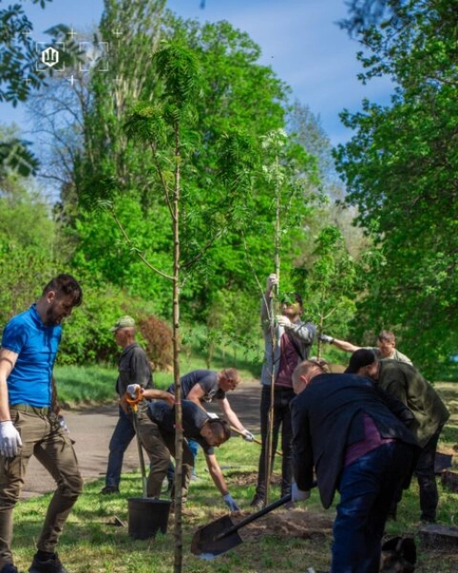 Горобина як символ незламності: у Києві з’явилася Алея Героїв у ботсаду імені Гришка - 1