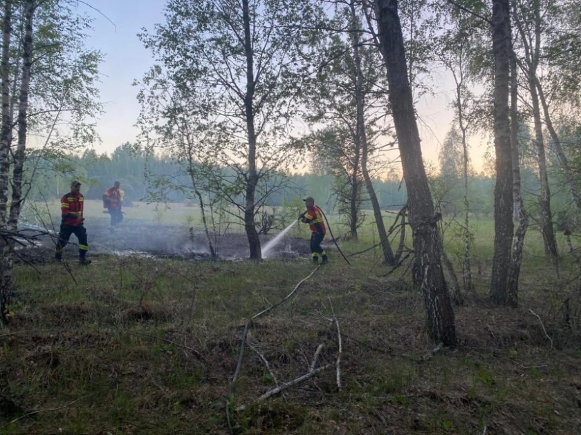 У Чорнобильській зоні продовжується ліквідація пожежі: тління торфу під контролем - 2