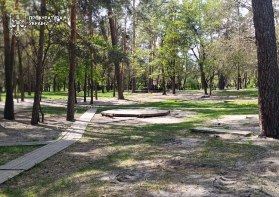 У парку «Партизанська слава» в Києві демонтували незаконне кафе та альтанки — рішення суду виконано - 3