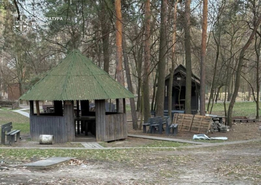 У парку «Партизанська слава» в Києві демонтували незаконне кафе та альтанки — рішення суду виконано - 1