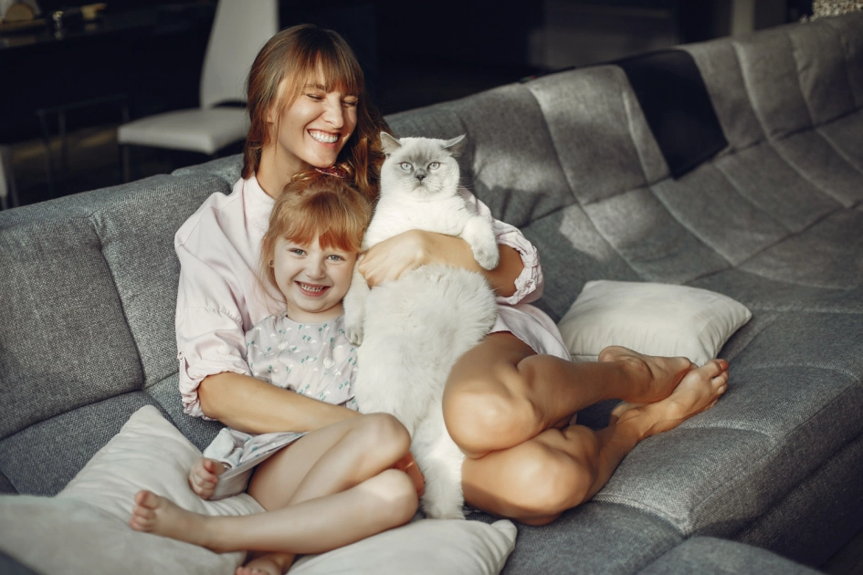 Київщина очолила рейтинг pet-friendly оренди: де в Україні найлегше зняти житло з тваринами - 2